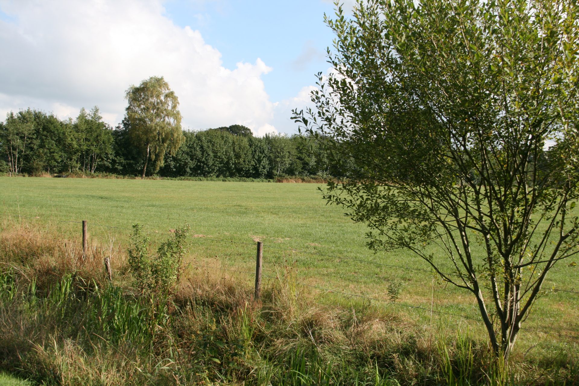 100xTrees4Life Friesland Zuid