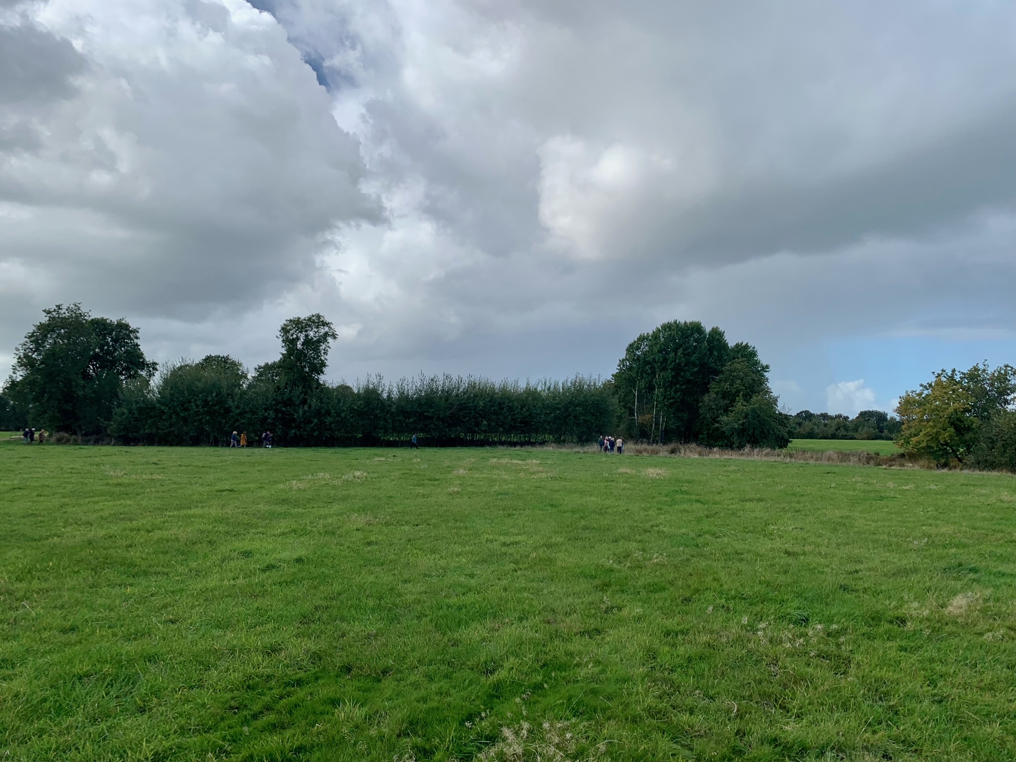 Beleefwandeling Trees4Life Friesland Zuid