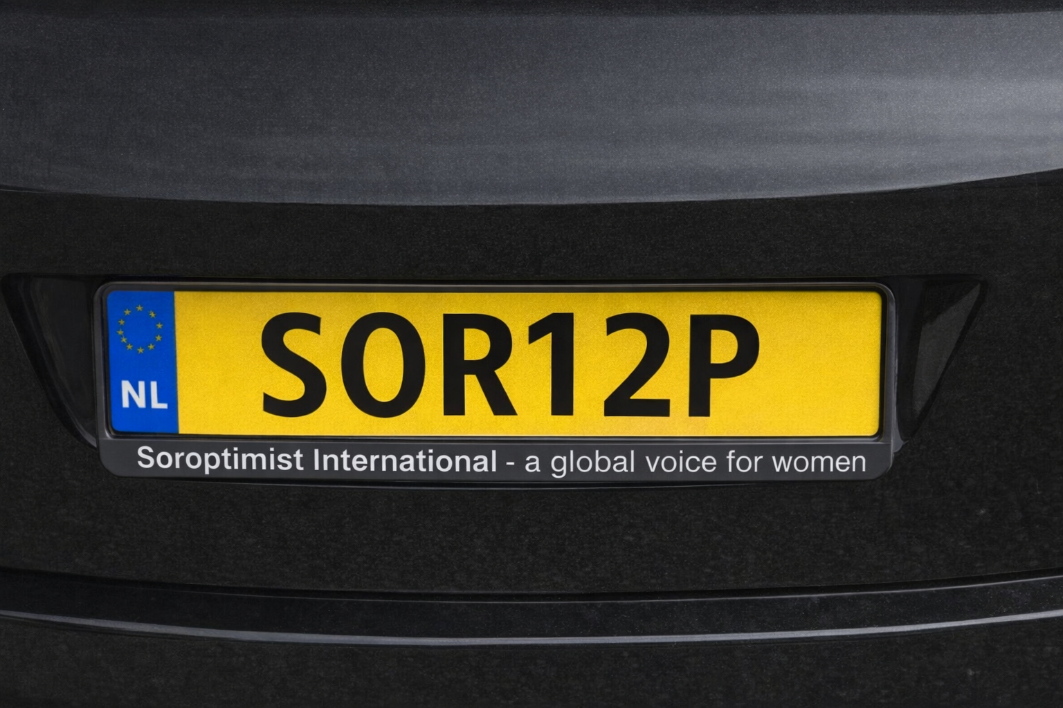 Raamsticker - Afbeelding 3