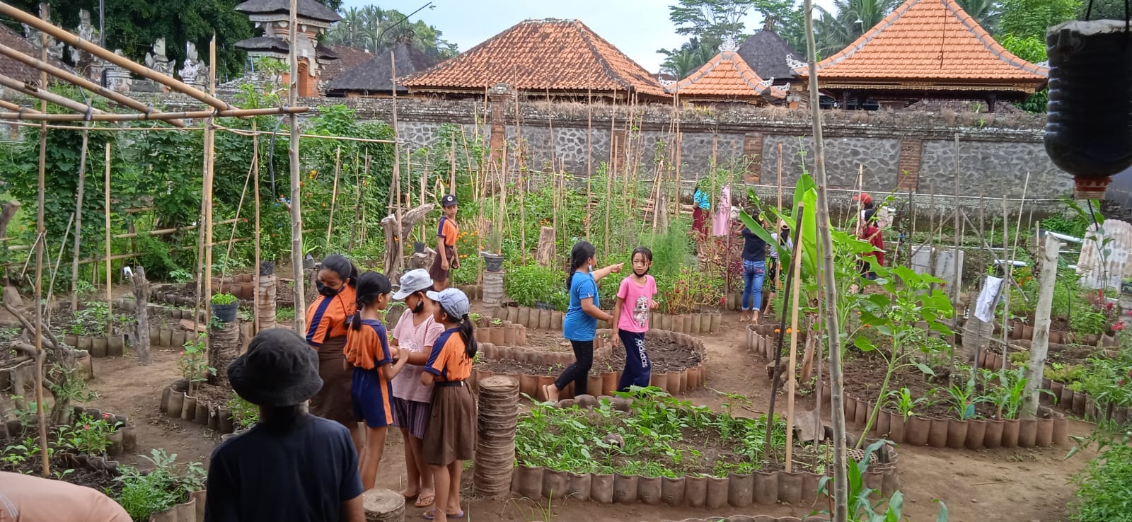 Onder het motto "Wat je vandaag leert kun je morgen in de praktijk brengen" vergroot Bumi Manusia de kennis en vaardigheden van Balinese kinderen op het gebied van het kweken van biologische groenten en fruit, het aanleggen van biologische rijstvelden, het kweken van vis en het fokken van kippen, eenden en geiten.