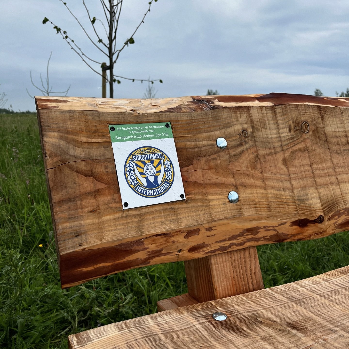 100xTrees4Life Hattem-Epe She