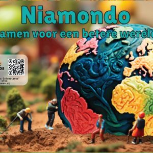 Niamondo: een coöperatief spel voor een betere wereld