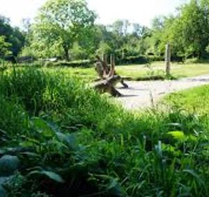 11. Vrouwenkracht in het Groen – Ontdek, Ontspan en Verbind (volgeboekt)