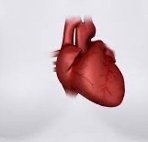 8. Inzicht in vrouwengezondheid – van hart tot hormonen (volgeboekt)